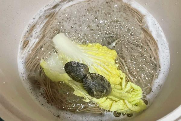 清汤荞麦面的做法图解4