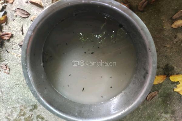 蚯处鸡的做法图解1