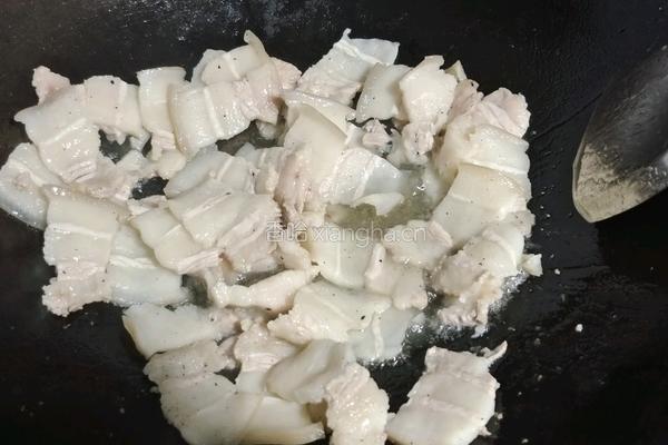 回锅肉的做法图解4