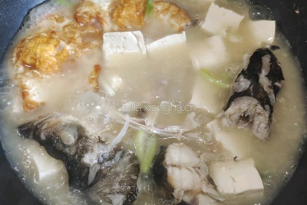 鱼头豆腐汤的做法图解9