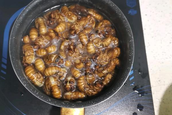 香辣油炸干煸知了猴的做法图解3
