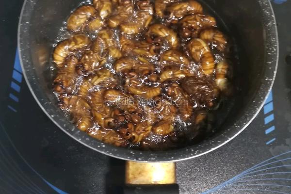 香辣油炸干煸知了猴的做法图解5