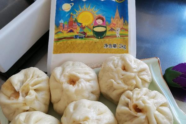 甘蓝猪肉蒸包的做法图解21