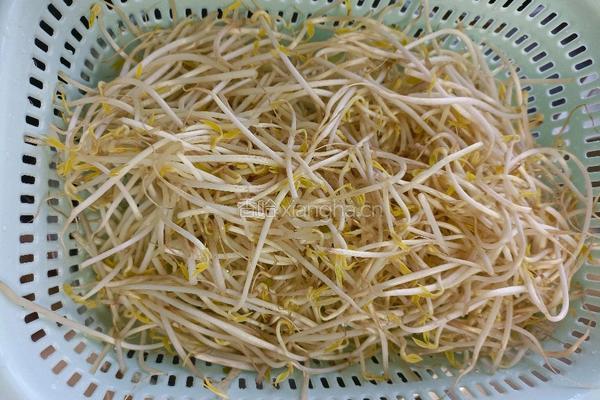 豆芽粉丝海白煲的做法图解1