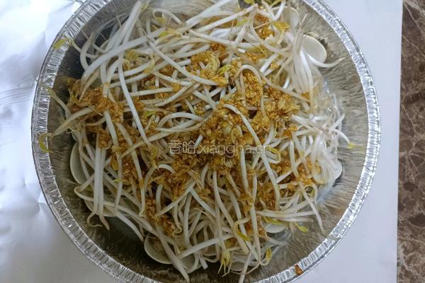 豆芽粉丝海白煲的做法图解11
