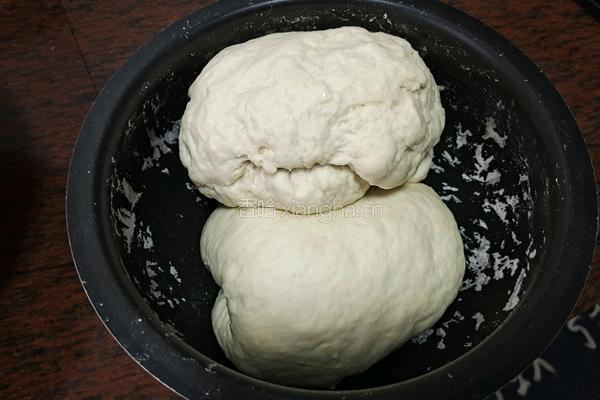 包子的做法图解5