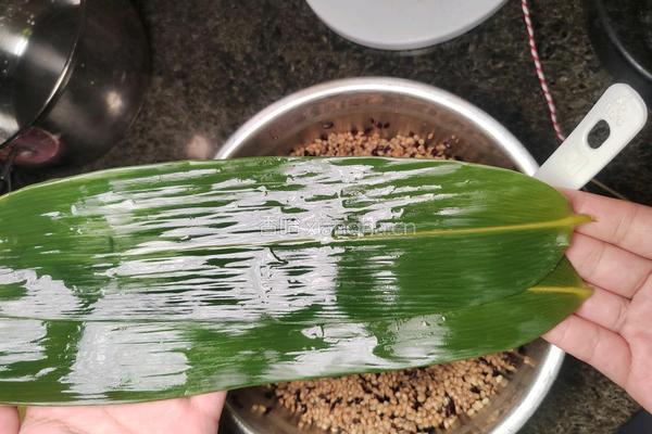 自制砂锅酱香排骨鲜粽子的做法图解8