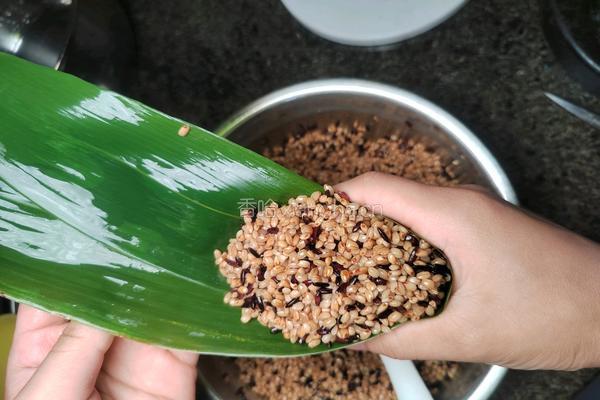 自制砂锅酱香排骨鲜粽子的做法图解11