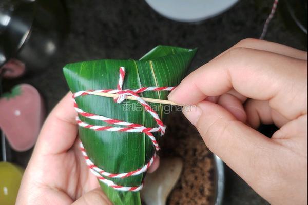 自制砂锅酱香排骨鲜粽子的做法图解16