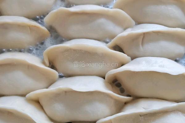 猪肉南瓜煎饺的做法图解13