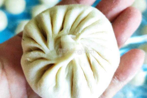 牛心菜包子的做法图解6