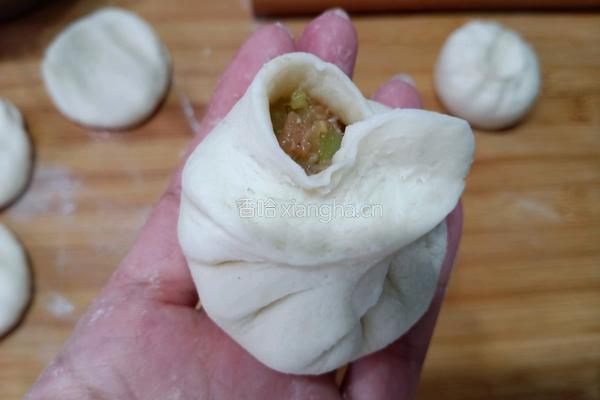 芹菜鲜肉生煎包的做法图解10