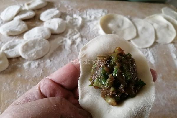 牛肉芹菜水饺的做法图解7