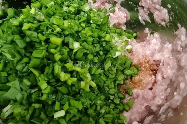 猪肉韭菜饺子的做法图解15