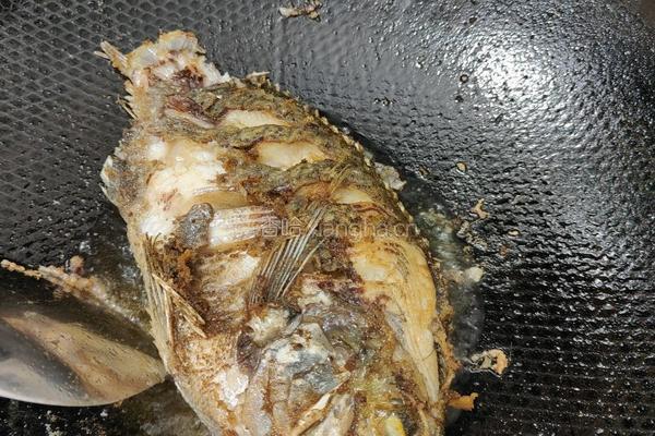 红烧罗飞鱼的做法图解5