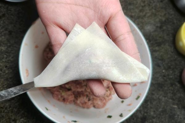 自制红油抄手的做法图解9