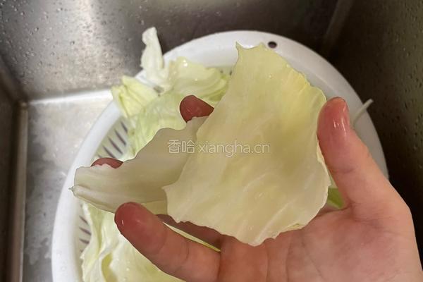 醋溜手撕包菜的做法图解1