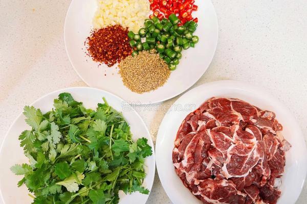 麻辣凉拌牛肉的做法图解1