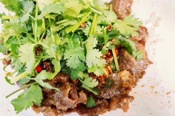 麻辣凉拌牛肉的做法图解9