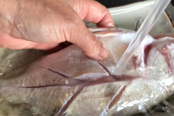 红烧桂鱼的做法图解3
