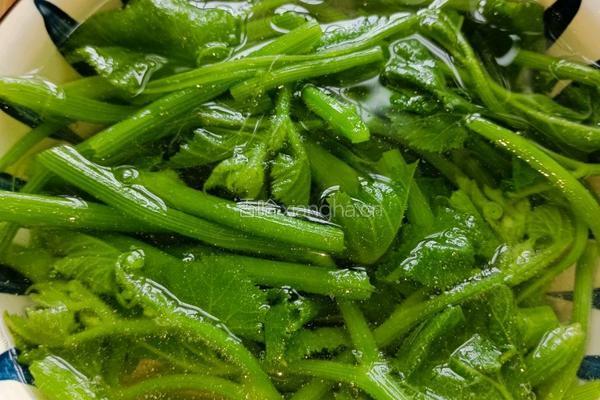 肉片炒南瓜尖的做法图解5