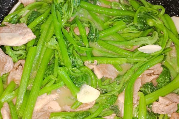 肉片炒南瓜尖的做法图解10