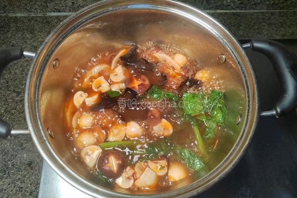 一人餐麻辣火锅☛呷哺呷哺川式麻辣汤底的做法图解8