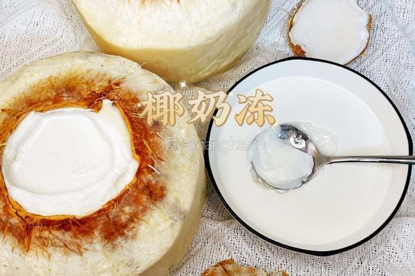 椰香浓郁的椰奶冻的做法图解21