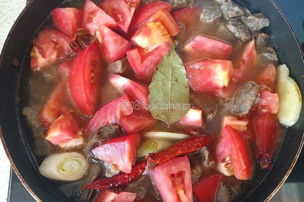 番茄炖牛肉的做法图解9