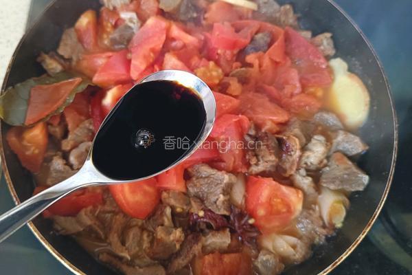 番茄炖牛肉的做法图解10