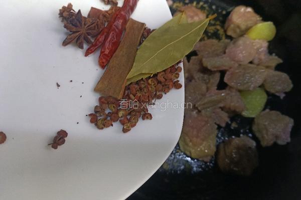 番茄牛腩的做法图解8