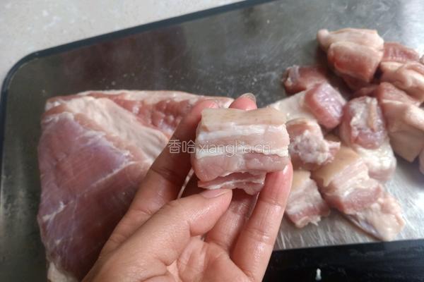 香菇红烧肉的做法图解4