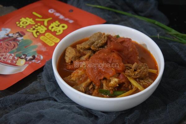 番茄炖牛腩的做法图解12