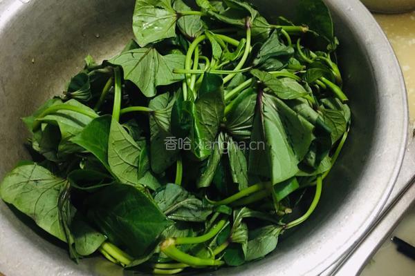 蒜香红薯叶的做法图解1