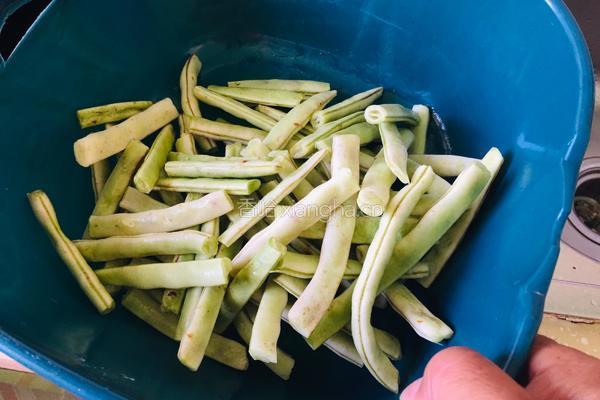 素版干煸四季豆的做法图解1