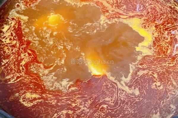 秋天的火锅的做法图解5