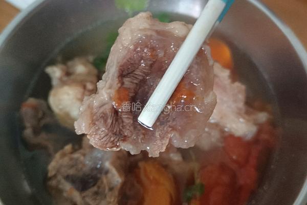 清炖牛肉的做法图解5