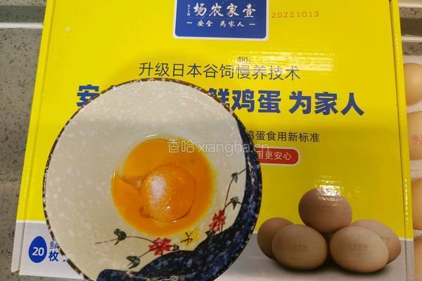 鸡蛋蔬菜饼的做法图解3