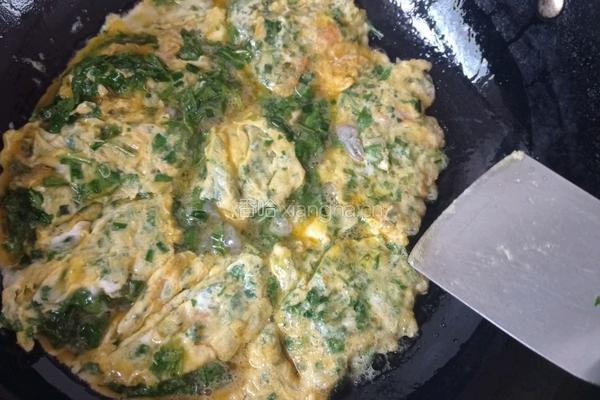 农场鸡蛋荠菜虾仁饼的做法图解10