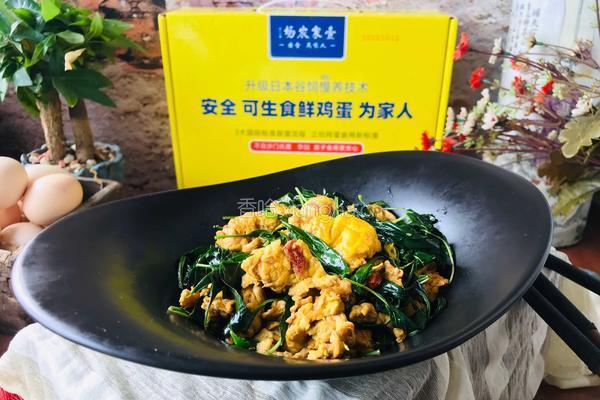 辣椒叶炒鸡蛋