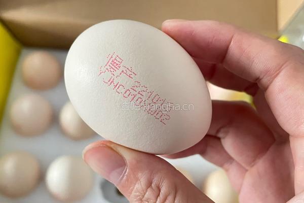 滑蛋三明治的做法图解2