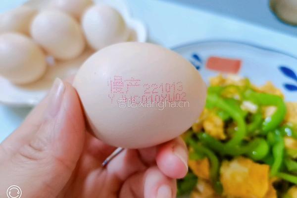 尖椒炒鸡蛋的做法图解15