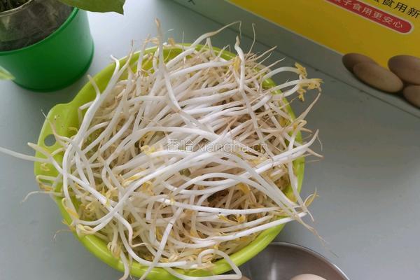 银芽炒蛋的做法图解1