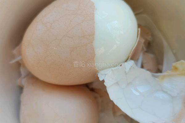 水煮鸡蛋的做法图解6