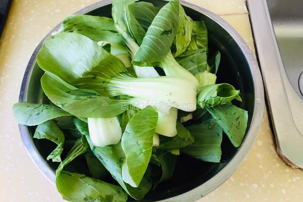 香菇炒油菜的做法图解3
