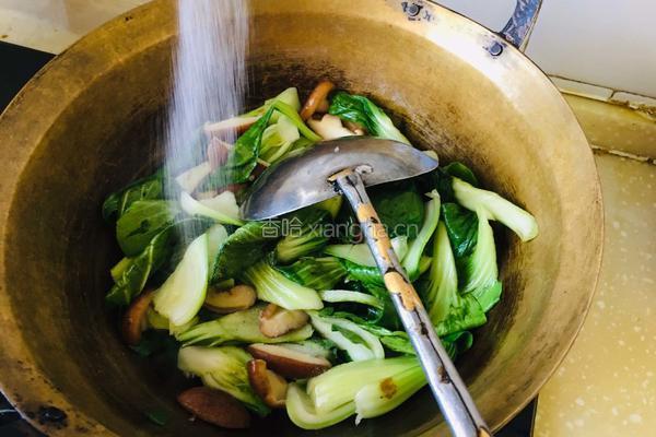 香菇炒油菜的做法图解7
