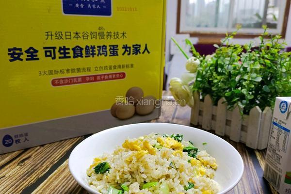 青菜蛋炒饭的做法图解8