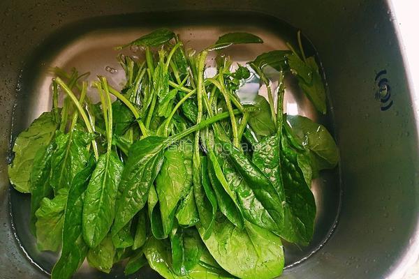肉沫菠菜鸡蛋汤的做法图解2