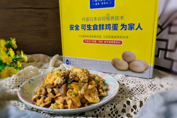 双菇炒鸡蛋的做法图解10