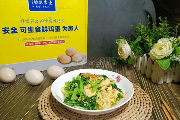 萝卜缨炒鸡蛋的做法图解8